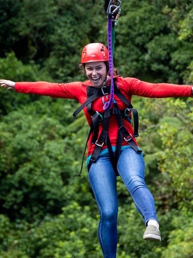 Original Canopy Tour - Adult