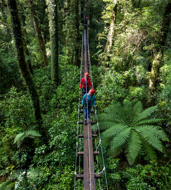 Original Canopy Tour