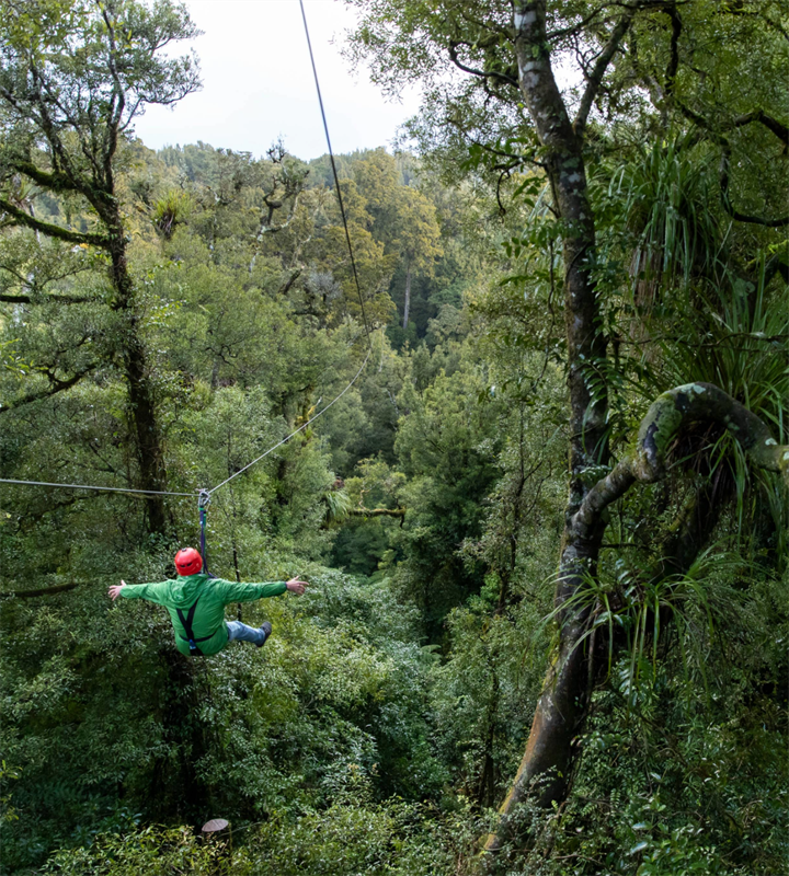 Ultimate Canopy Tour Vouchers