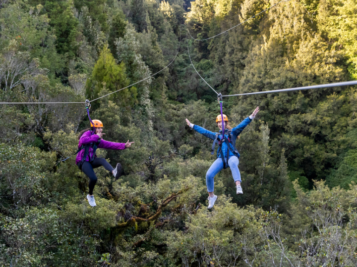 Ultimate Canopy Tour - Adult